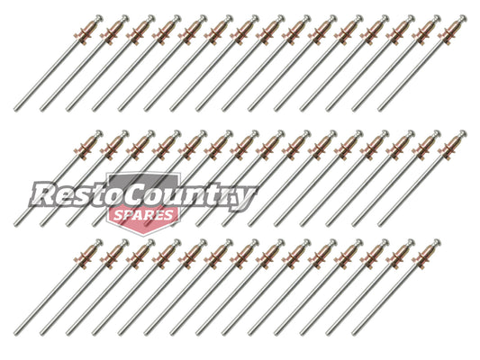 Holden Sill Mould Rivet Kit VL Calais. VN VP VR VS stud replacement - BMC1314