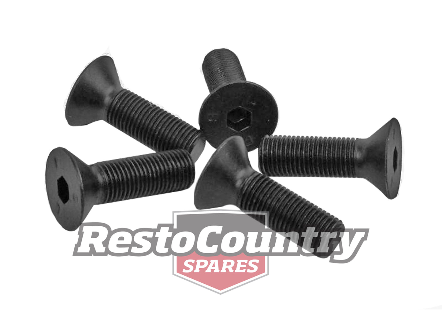 Holden Disc Brake Rotor Screw Kit HD HR  stop  bolt  nut  brakes - BS1021