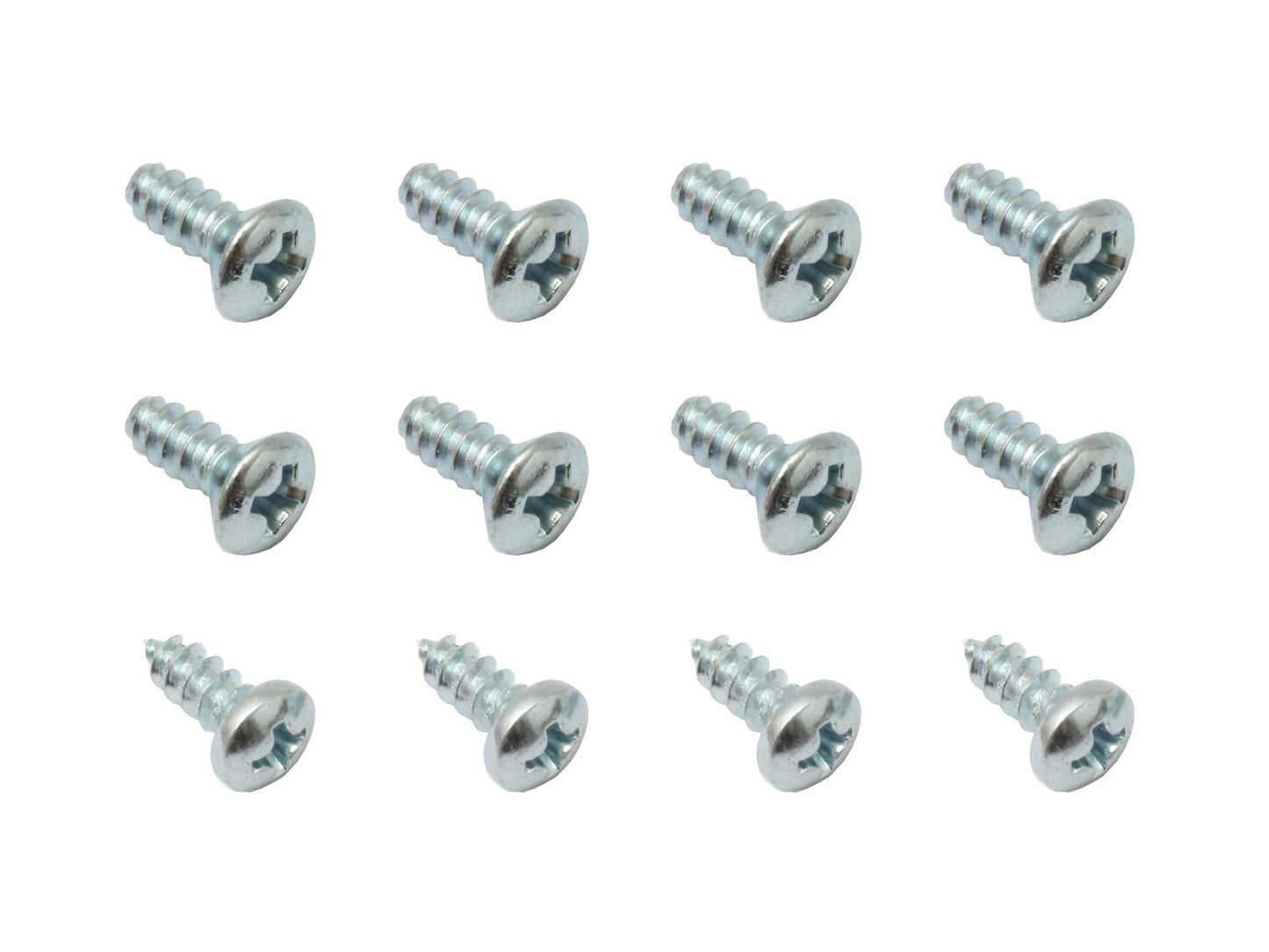 Holden REAR Scuff Plate / Panel Screws x 12 HK HT HG sill door fitting - DSS1009A