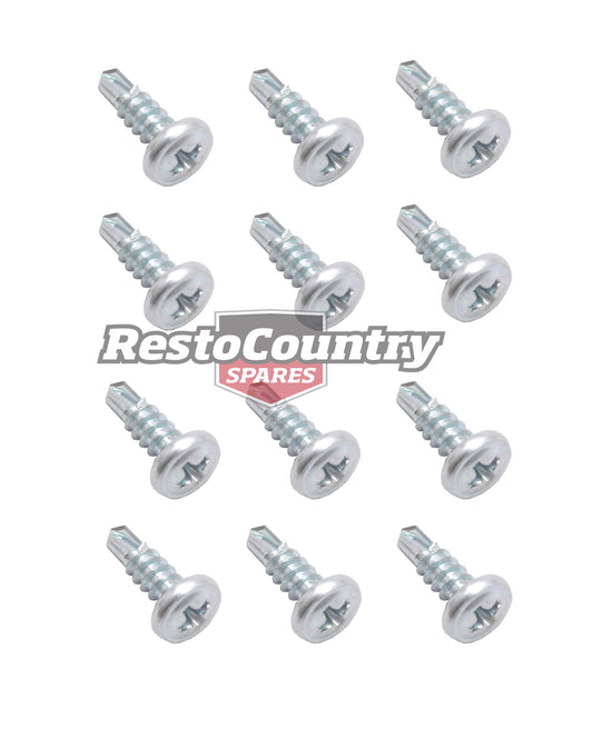 Holden Torana Scuff Plate Screw Set x12 LX UC HATCH door panel trim - DSS1011