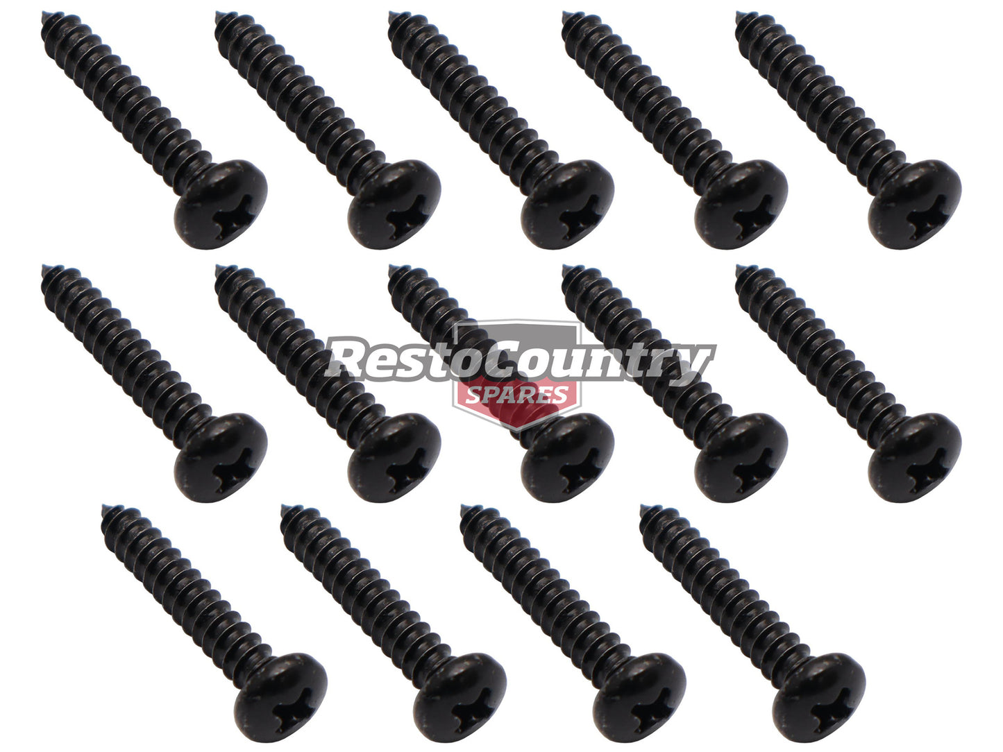 Ford Falcon Scuff Plate Screw Kit 14 pcs XD XE XF Sedan sill door fitting - DSS2003