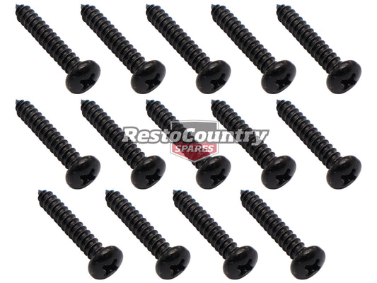 Ford Falcon Scuff Plate Screw Kit 14 pcs XD XE XF Sedan sill door fitting - DSS2003