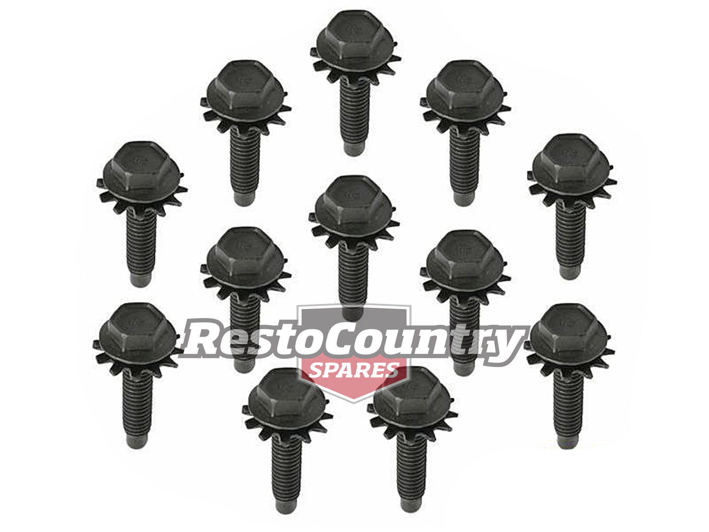 Ford Door Hinge Bolts BLACK XR XT XW XY ZA ZB ZC ZD 1x Door = x12 - FK2006