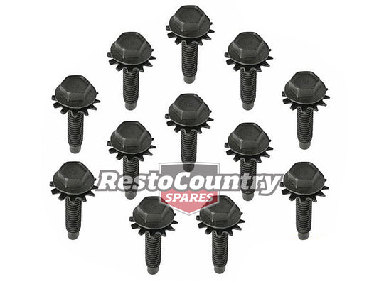 Ford Door Hinge Bolts BLACK XR XT XW XY ZA ZB ZC ZD 1x Door = x12 - FK2006