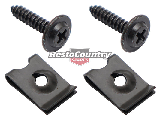 Ford Falcon Fairmont Grille Fitting Kit XE screws clips - FK2040