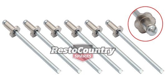 Holden Commodore ROSETTE Rivet Kit 6pcs ID Plate VN VQ VG VP VR VS VT VX VY VZ - RV1000